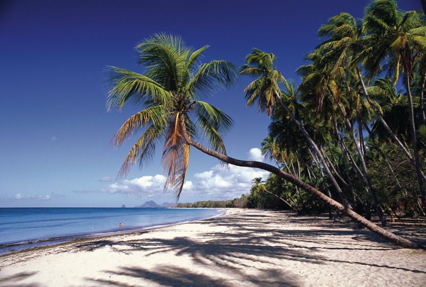 Vacances de rve : dcouvrir la Martinique et ses merveilles